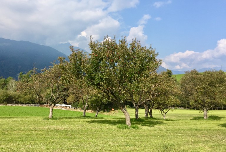 2016-10-08_093821679_299a3_ios