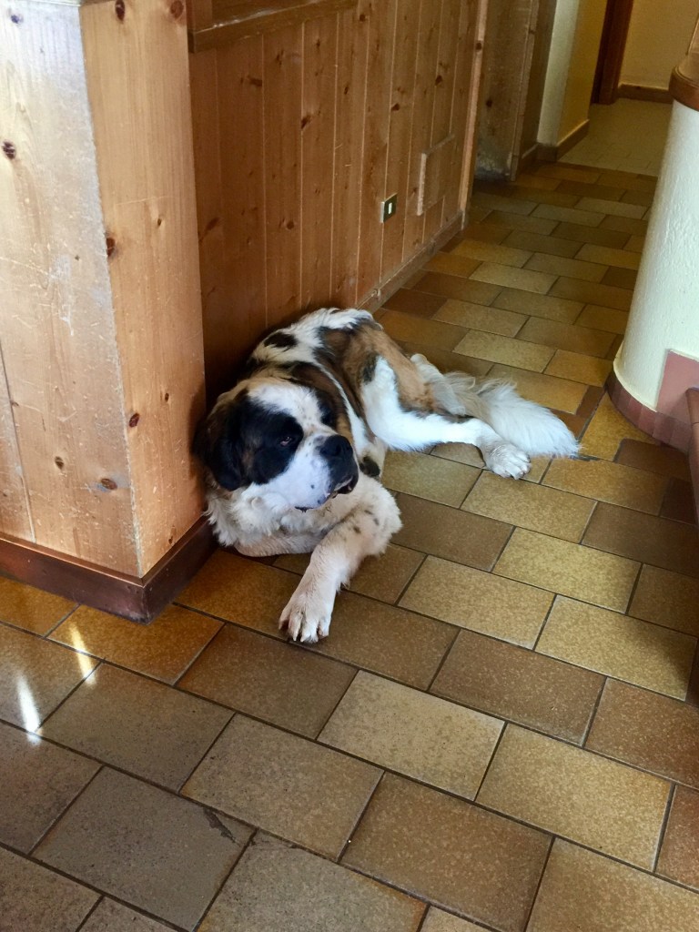 2016-10-09_080120350_ab28c_ios